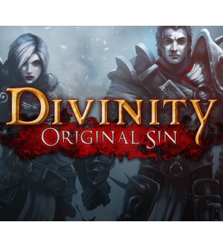 Divinity: Original Sin Digital Collector s Edition Single Pack Gift Steam Key GLOBAL